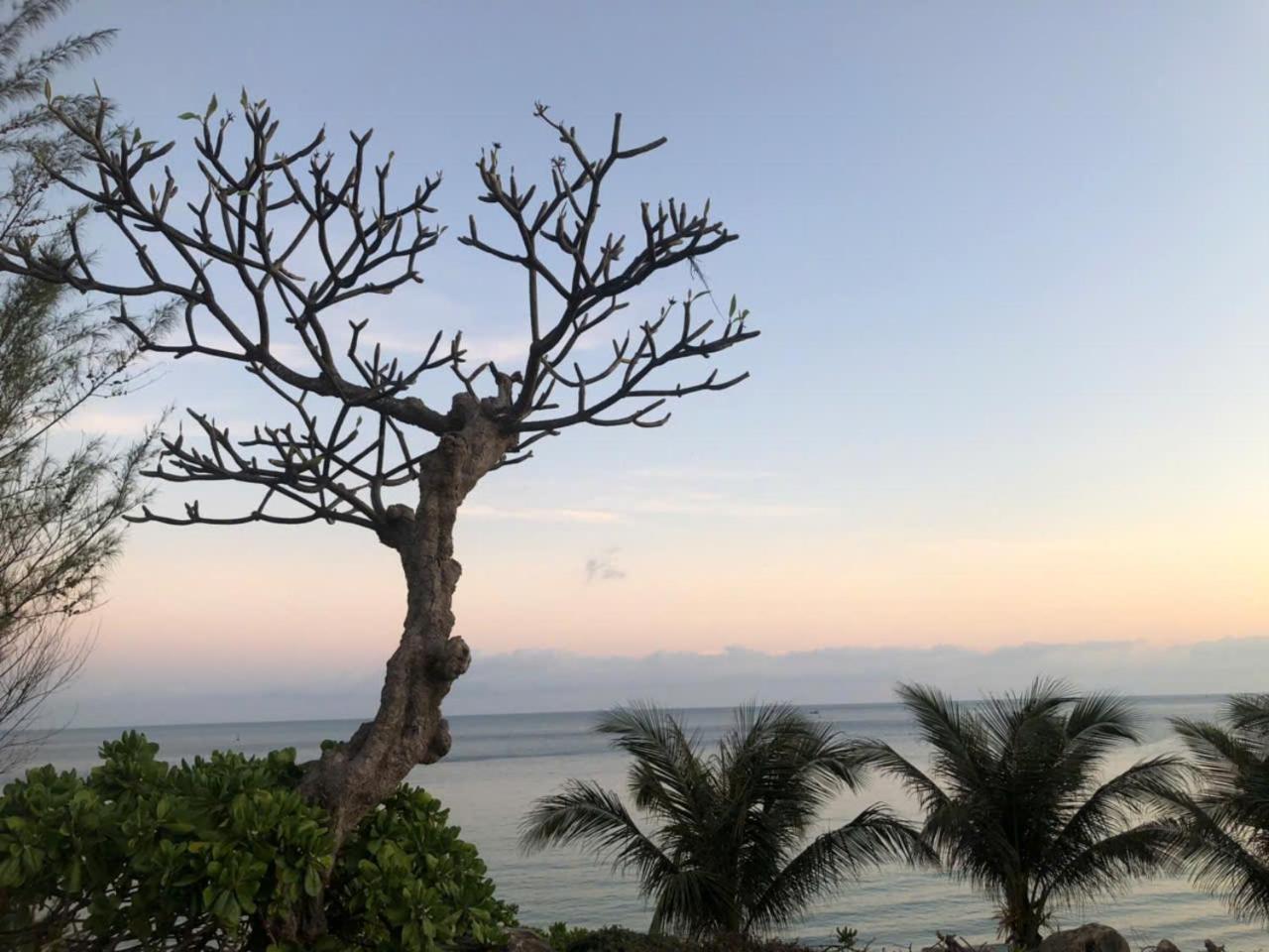Orson Hotel & Resort Con Dao Chi Khu Co Ong Экстерьер фото